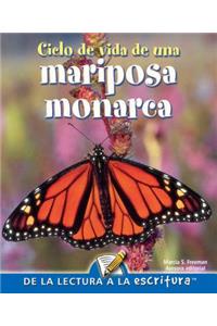 Ciclo de Vida de Una Mariposa Monarca
