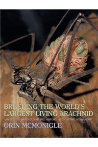 Breeding the World's Largest Living Arachnid