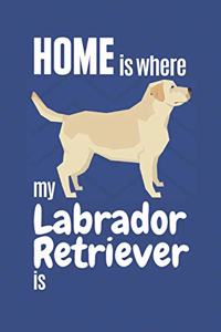 Home is where my Labrador Retriever is