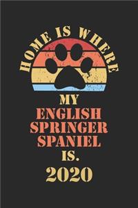 English Springer Spaniel 2020