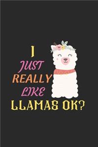 I Just Really Like Llamas Ok?