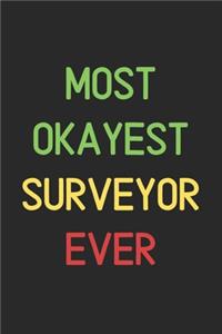 Most Okayest Surveyor Ever