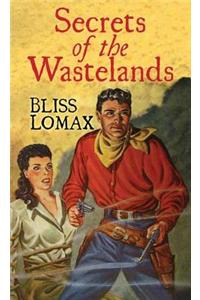 Secret Of The Wastelands