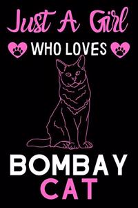 Just a girl who loves Bombay Cat