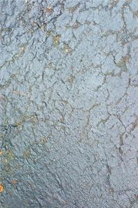 2020 Weekly Planner Wet Blacktop 134 Pages