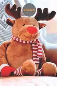 Reindeer