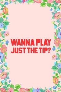 Wanna Play Just the Tip Journal Notebook