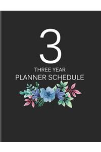 3 Three Year Planner Schedule