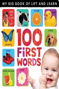 My Big Book of Lift and Learn: 100 First Words