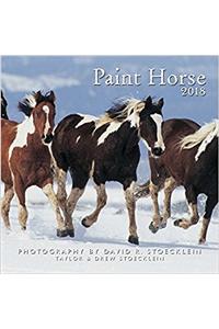 Paint Horse 2018 Calendar