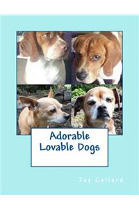 Adorable Lovable Dogs