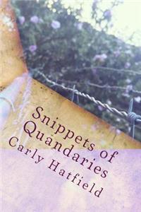 Snippets of Quandaries