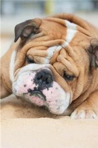 English Bulldog Winter Notebook & Journal. Productivity Work Planner & Idea Notepad
