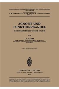 Agnosie Und Funktionswandel