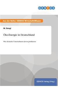 Öko-Energie in Deutschland