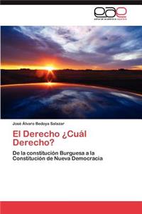 El Derecho ¿Cuál Derecho?