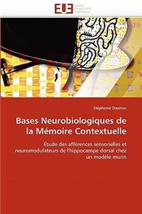 Bases neurobiologiques de la mémoire contextuelle