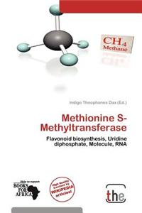 Methionine S-Methyltransferase