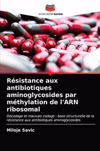 Résistance aux antibiotiques aminoglycosides par méthylation de l'ARN ribosomal