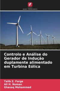 Controlo e Análise do Gerador de Indução duplamente alimentado em Turbina Eólica