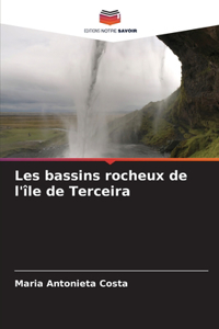 Les bassins rocheux de l'île de Terceira