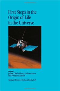 First Steps in the Origin of Life in the Universe