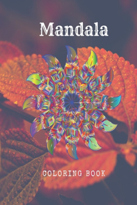 Mandala Coloring Book