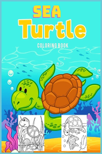 Sea Turtle