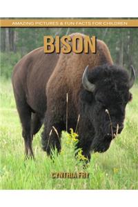 Bison