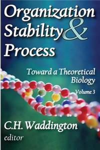 Organization Stability and Process