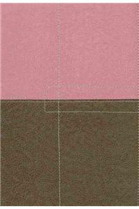 The Case for Christ Study Bible