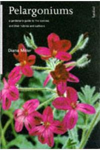 PELARGONIUMS