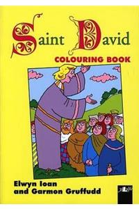 Welsh Heroes Colouring Book - Saint David