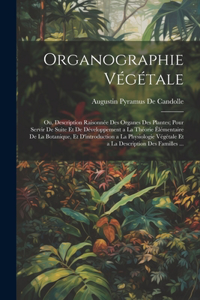 Organographie Végétale