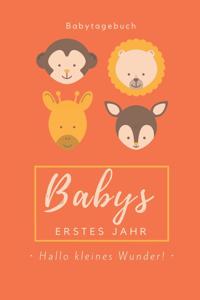 Babytagebuch Babys Erstes Jahr Hallo Kleines Wunder: A5 Notizbuch punktiert als Geschenk zur Geburt - Geschenkidee für werdene Mütter zur Schwangerschaft - Baby-Tagebuch - Babyalbum - Babys erstes Jahr