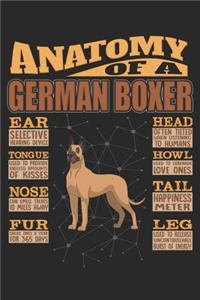 Anatomy Of A German Boxer