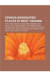 Census-Designated Places in West Virginia