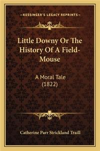 Little Downy Or The History Of A Field-Mouse