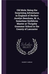 Old Mole; Being the Surprising Adventures in England of Herbert Jocelyn Beenham, M. A., Sometime Sixthform Master at Thrigsby Grammar School in the County of Lancaster