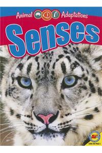 Senses