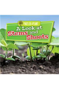 Look at Stems and Shoots