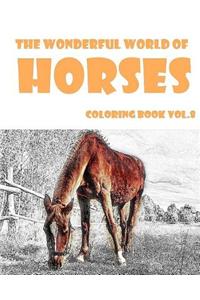 The Wonderful World of Horses