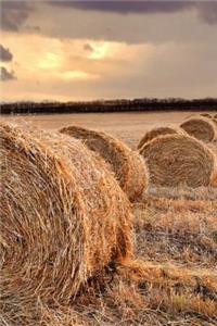 Straw Field Journal