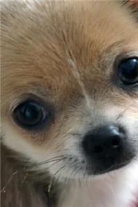 Cute Puppy Journal