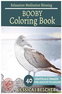Booby Coloring Book for Adults Relaxation Meditation Blessing