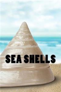 Sea Shells Journal / Notebook