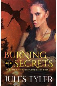 Burning Secrets