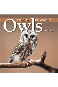 Exploring the World of Owls