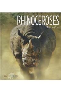 Rhinoceroses