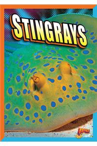 Stingrays